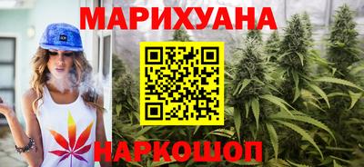 шишки Кимры