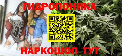 марихуана Кингисепп