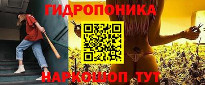 марихуана Кингисепп