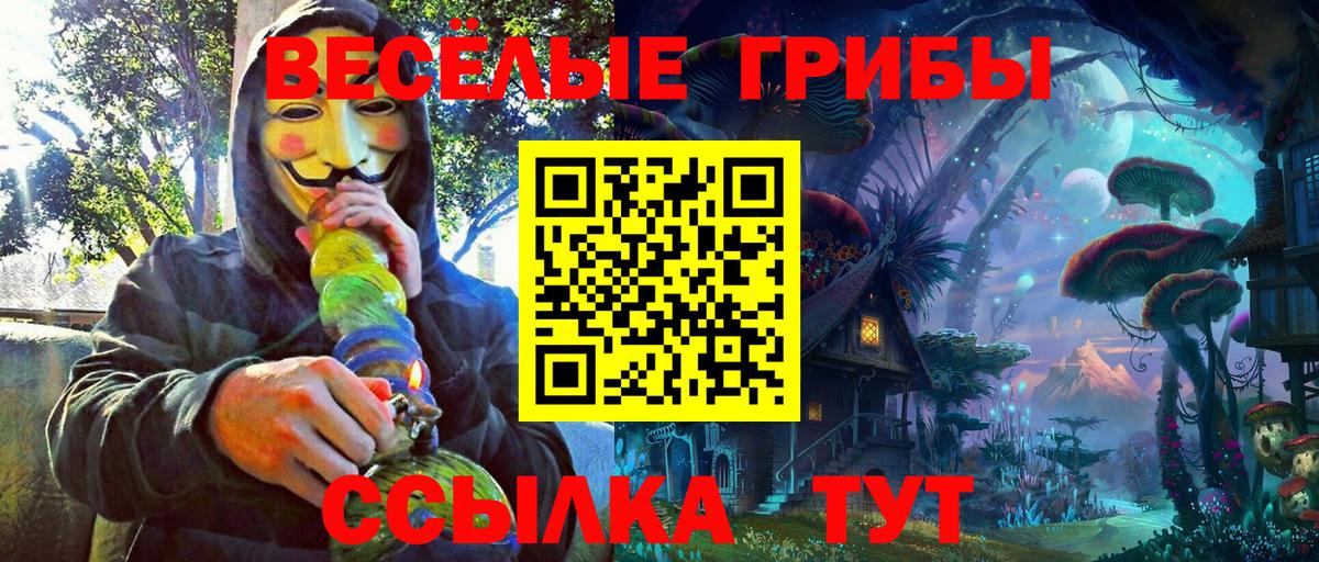 Галлюциногенные грибы GOLDEN TEACHER  Вход с VPN  где купить наркотик  Галлюциногенные грибы Psilocybine cubensis  Знаменск 