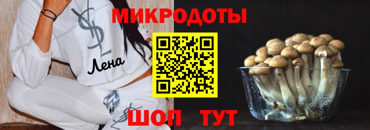 Галлюциногенные грибы мицелий Знаменск